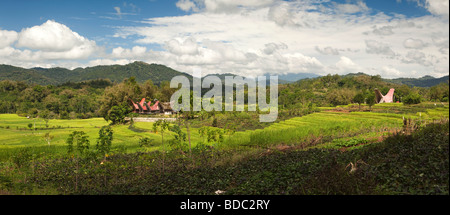 Tana Toraja de Sulawesi Indonésie communauté de maisons Tongkonan traditionnels à travers les champs de riz cultivé vue panoramique Banque D'Images