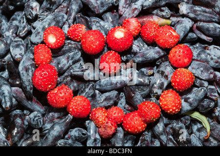 Coeur à partir des baies de fraise sauvage contre un chèvrefeuille Banque D'Images