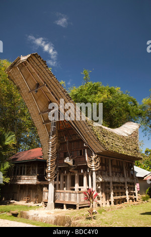 Tana Toraja de Sulawesi Indonésie village Kete Kesu état haut traditionnelles tongkonan maison avec beaucoup de cornes de buffle à l'extérieur Banque D'Images