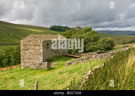 Dans Sleddale grange en pierre, un petit côté dale off Wensleydale, près de Hawes, Yorkshire du Nord Banque D'Images