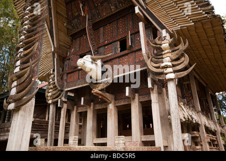 Tana Toraja de Sulawesi Indonésie village Kete Kesu état haut traditionnelles tongkonan maison avec beaucoup de cornes de buffle et mâchoires Banque D'Images