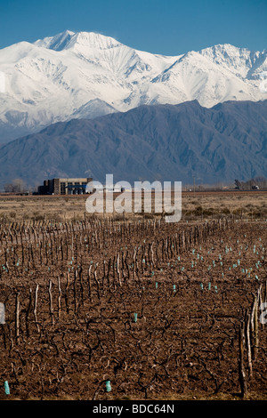 Avis de Bodega Septima winery à Lujan de Cuyo, Mendoza Argentine au pied de la chute des Andes Banque D'Images