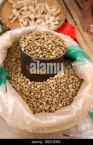 Tana Toraja de Sulawesi Indonésie village vert Totumbang marché hebdomadaire des grains de café non torréfiés à vendre Banque D'Images