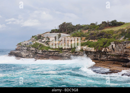 Sydney côte le long de la promenade côtière de la plage de Bondi Banque D'Images