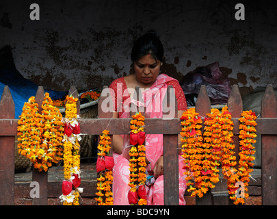 Femme faisant la vente de guirlandes de fleurs fraîches colorées de couleur ocre orange Népal Katmandou temple hindou Banque D'Images