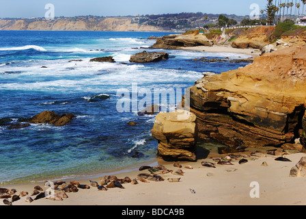 La plage de La Jolla en Californie Banque D'Images