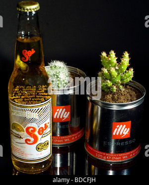 Une bouteille de bière mexicaine avec deux plantpots d'étain utilisés contenant des cactus, situé sur une table et l'arrière-plan noir Banque D'Images