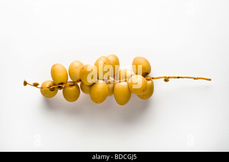 Une bande de jaune, matières dates sur fond blanc. Banque D'Images