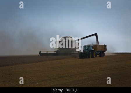 Moissonneuse-batteuse et le tracteur au travail dans la région de Essex Ashen près de Clare dans la région de Suffolk Banque D'Images