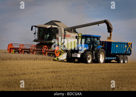 Moissonneuse-batteuse et le tracteur au travail dans la région de Essex Ashen près de Clare dans la région de Suffolk Banque D'Images