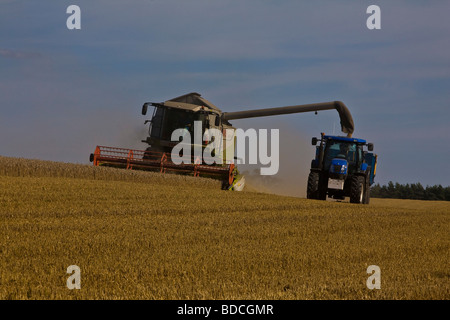 Moissonneuse-batteuse et le tracteur au travail dans la région de Essex Ashen près de Clare dans la région de Suffolk Banque D'Images