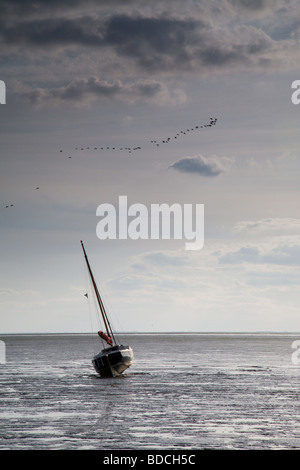 Des oiseaux volent au-dessus de la mer à King's Lynn dans le Norfolk, Angleterre, Royaume-Uni. Banque D'Images