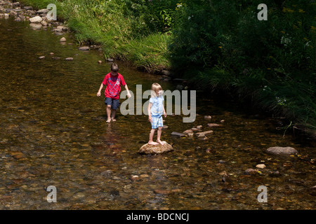 Deux enfants, un frère et une sœur de patauger dans un ruisseau sur une chaude journée d'été. La petite fille blonde est debout sur un rocher. Banque D'Images