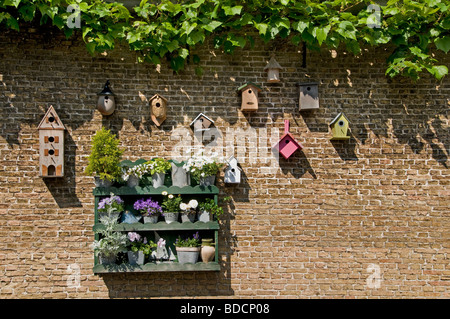 Oosterend Farm Village Texel Pays-bas Hollande Banque D'Images