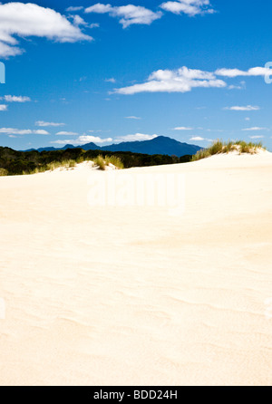 Henty dunes de sable, côte ouest de la Tasmanie, Australie Banque D'Images