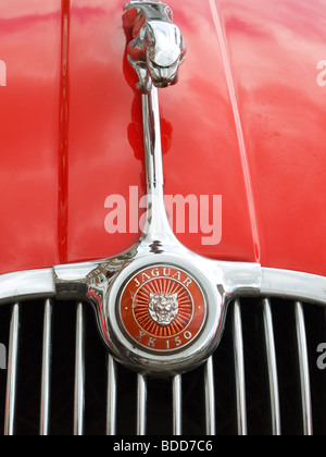 De près de l'insigne de capot rouge sur une voiture de sport Jaguar XK150 Banque D'Images