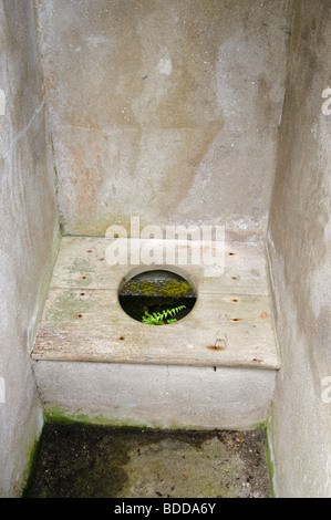 Old fashioned, siège de toilette en bois traditionnel dans un cubicule à l'étroit, avec des plantes qui poussent à travers dans une école irlandaise Banque D'Images