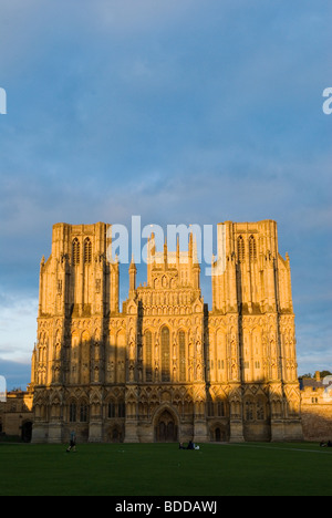 Wells Cathedral et Somerset en Angleterre. Cathédrale vert. PHOTO HOMER SYKES Banque D'Images