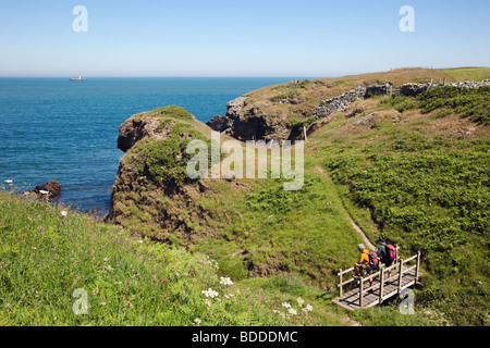 Mynachdy, Anglesey, au nord du Pays de Galles, Royaume-Uni. Isle of Anglesey Sentier du littoral et de la côte rocheuse près de Carmel Head sur la côte nord Banque D'Images