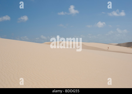 Vue sur les dunes et les lagons de la Lençois Maranhenses au Brésil Banque D'Images