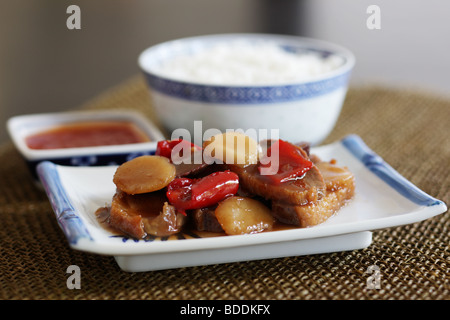 Style Chinois authentique canard rôti dans une sauce aux prunes traditionnel avec du riz et pas de personnes Banque D'Images