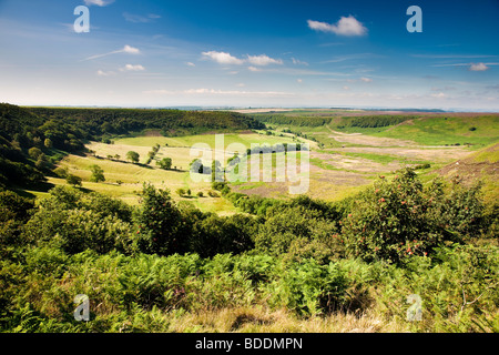 Trou de Horcum, Levisham Moor près de Pickering, North York Moors National Park Banque D'Images