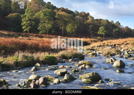 La Rivière Liffey au Sally Gap . Wicklow Irlande Banque D'Images