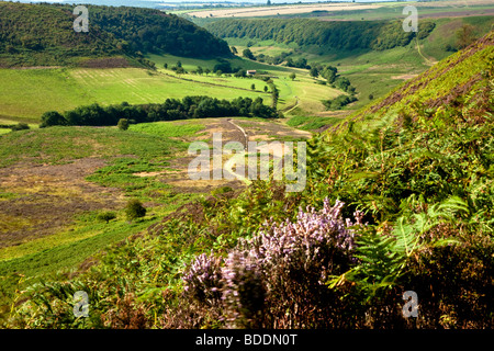 Trou de Horcum, Levisham Moor près de Pickering, North York Moors National Park Banque D'Images