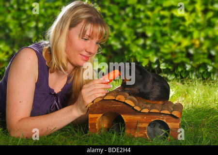 Alimentation Femme Cochon à la carotte Banque D'Images