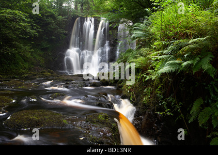 Ess-na-crub cascade sur la rivière inver glenariff Forest Park dans le comté d'Antrim en Irlande du Nord uk Banque D'Images