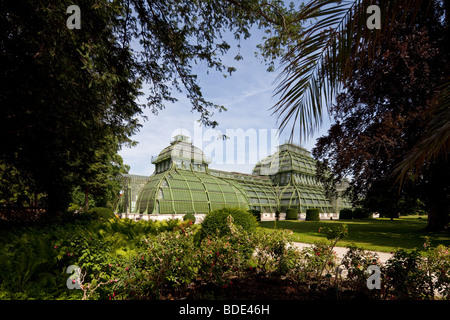 Palm House, le château de Schönbrunn, Vienne, Autriche Banque D'Images