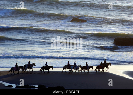 L'équitation sur la plage Banque D'Images