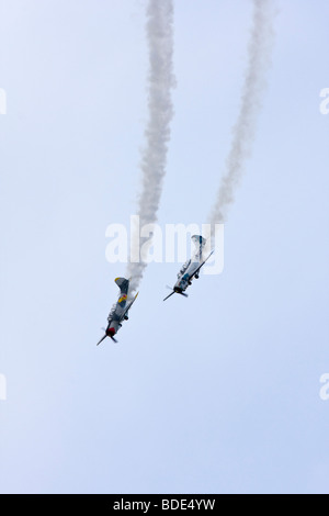 L'équipe de voltige cosaques Yak-52 Alexandre Saltanov Banque D'Images