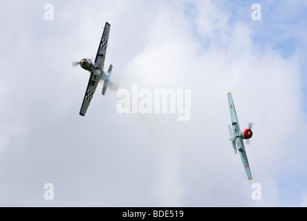 L'équipe de voltige cosaques Yak-52 Alexandre Saltanov Banque D'Images