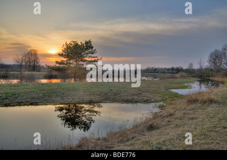 Soir dans le Nord de la région protégée de Gauja Banque D'Images