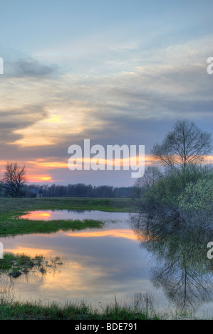 Bord d'floodline dans la région protégée de Gauja Nord Banque D'Images