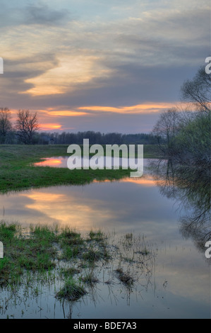 Bord d'floodline dans la région protégée de Gauja Nord Banque D'Images