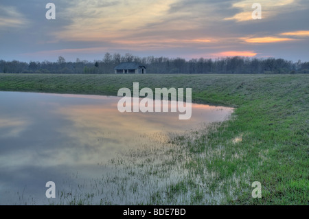 Bord d'un lac d'Oxbow dans la région protégée de Gauja Nord Banque D'Images