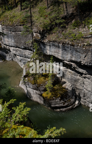 Maligne Canyon dans le parc national Jasper en Alberta, Canada Banque D'Images