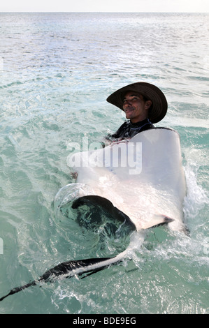 Homme jouant avec Sting Ray dans les eaux tropicales peu profondes Banque D'Images