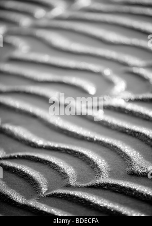 Régime des vagues sur le sable Banque D'Images