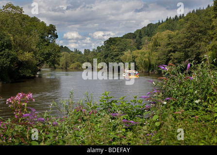 Bateau de plaisance sur la rivière Wye, Symonds Yat, vallée de la Wye, Herefordshire, Angleterre Banque D'Images