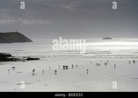 Les surfeurs sur la plage de Polzeath Été 2009 Banque D'Images