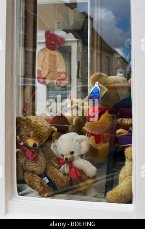 Ours shop window, Witney, Oxfordshire, Angleterre Banque D'Images