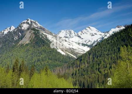 Le parc national des Glaciers de la Colombie-Britannique, Canada LA004279 Banque D'Images