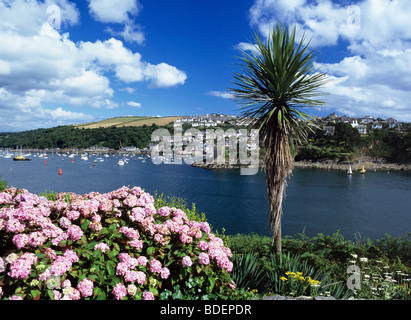 Polruan vue de la petite ville de Fowey, sur la rive opposée de l'estuaire du fleuve Fowey Banque D'Images