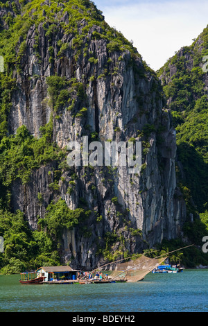 Îles de calcaire couvertes de jungle avec des falaises dans la baie d'Halong, Vietnam Banque D'Images