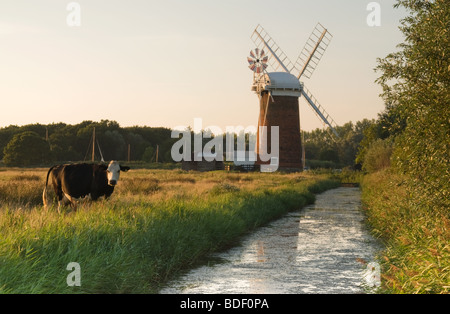 Lumière du soir à Horsey Mill de drainage, Norfolk Banque D'Images