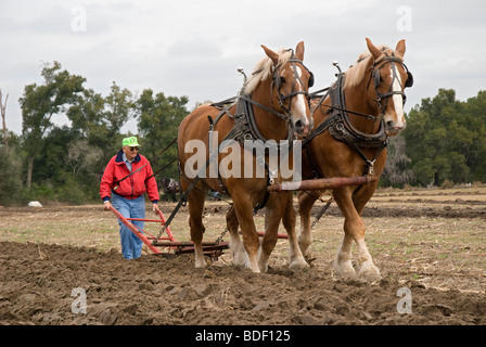Festival annuel de jours de charrue à Dudley, lieu historique de La Ferme, Parc d'état de Newberry, Floride--Registre National des Endroits Historiques. Banque D'Images