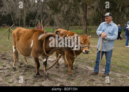 Festival annuel de jours de charrue à Dudley, lieu historique de La Ferme, Parc d'état de Newberry, Floride--Registre National des Endroits Historiques. Banque D'Images